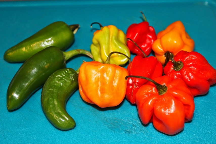 selection-chillies